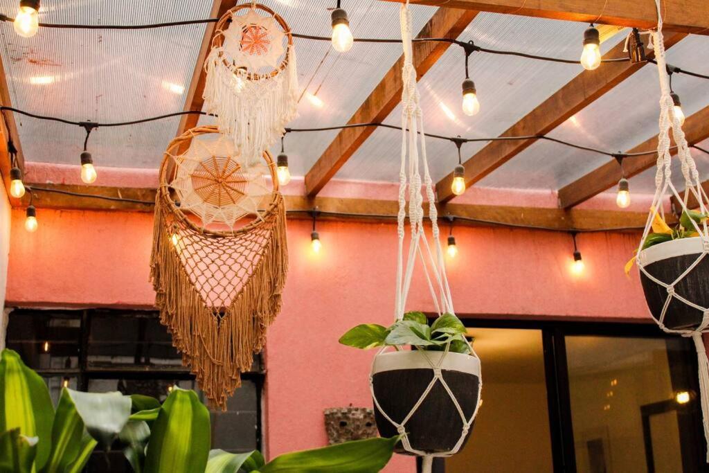 New Mex Inspired Bo-Ho Chic Apartment With Private Patio And Roof Terrace メキシコシティ エクステリア 写真
