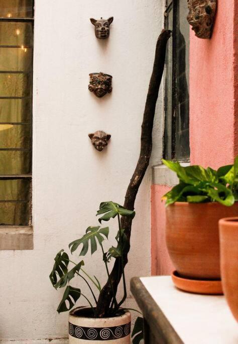 New Mex Inspired Bo-Ho Chic Apartment With Private Patio And Roof Terrace メキシコシティ エクステリア 写真